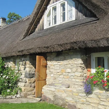 Aavikunurga Koiguste