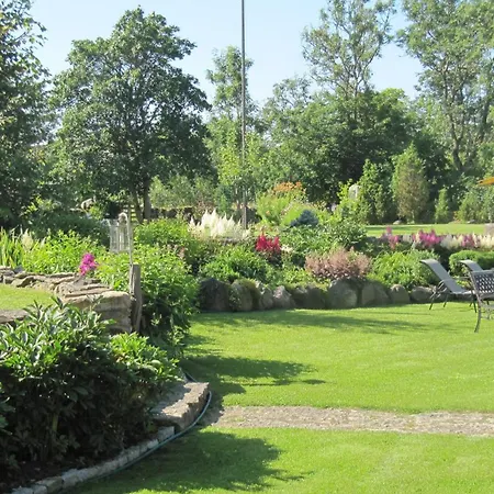 Aavikunurga Country house Koiguste