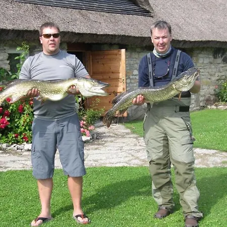 Aavikunurga Kõiguste