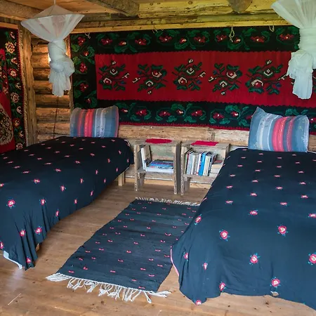 Aavikunurga * Koiguste