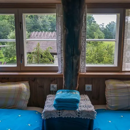 Aavikunurga * Koiguste