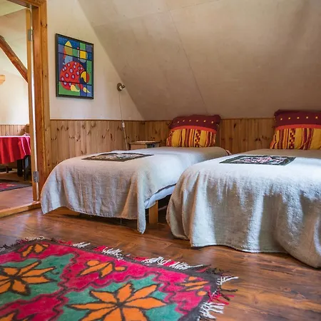 Aavikunurga Country house Koiguste
