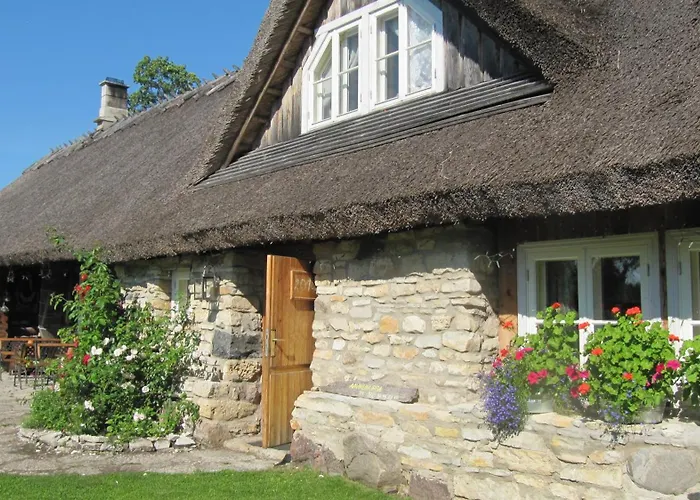 Aavikunurga Koiguste