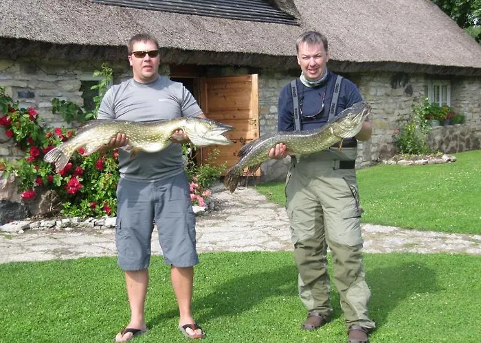 Aavikunurga Koiguste