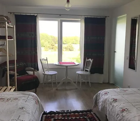 Aavikunurga Koiguste