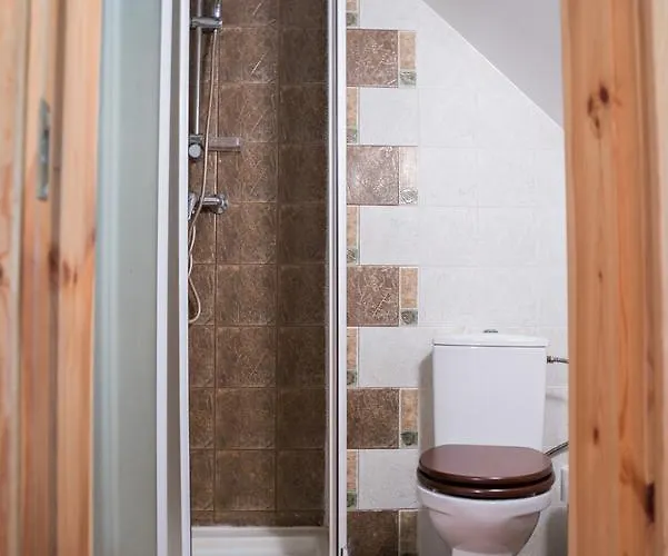 Aavikunurga * Koiguste