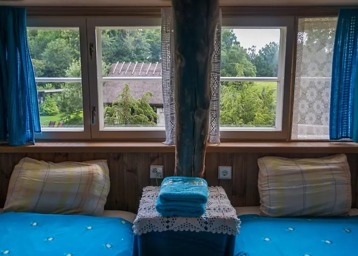 Aavikunurga * Koiguste